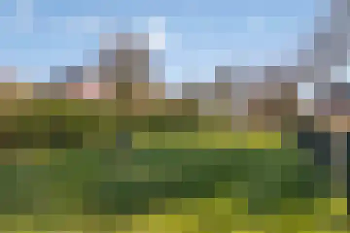 De Gaikhorst 38 Warnsveld thumbnail 41