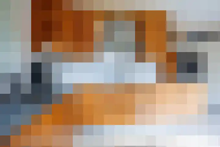 de Gamert 2302 Wijchen thumbnail 13