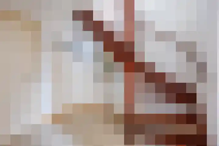de Gamert 2302 Wijchen thumbnail 16