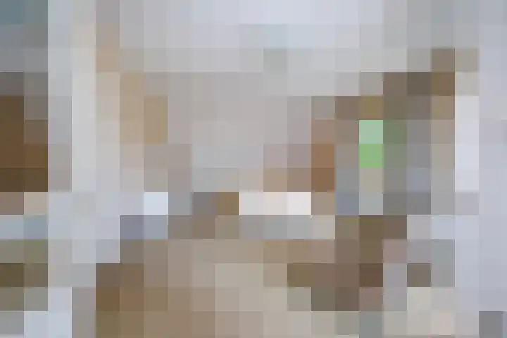 de Gamert 2302 Wijchen thumbnail 22