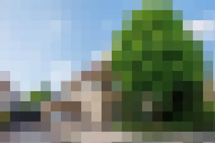 de Gamert 2302 Wijchen thumbnail 39