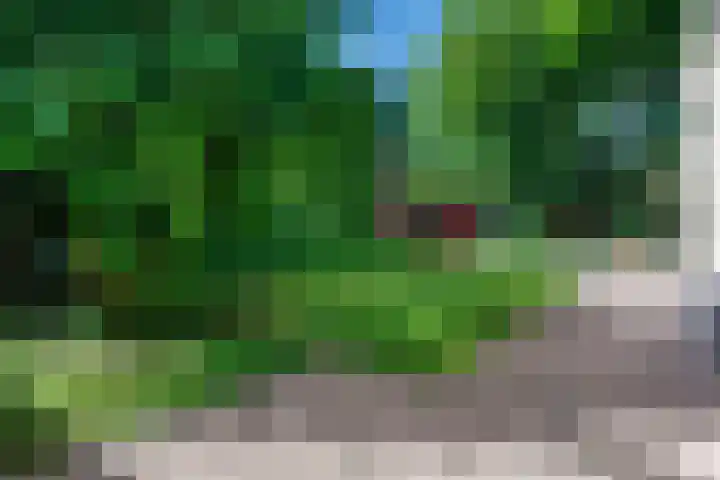 de Gamert 2302 Wijchen thumbnail 42