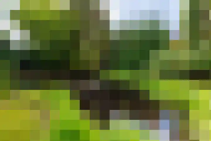de Gamert 2302 Wijchen thumbnail 45