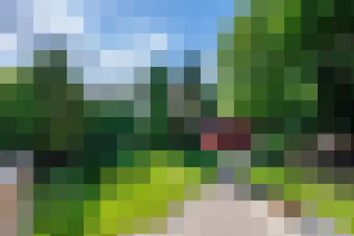 de Gamert 2302 Wijchen thumbnail 46