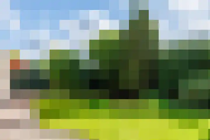 de Gamert 2302 Wijchen thumbnail 48
