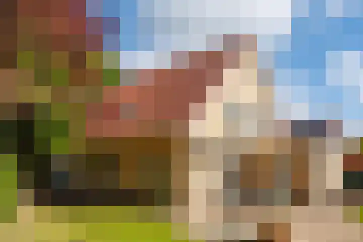 de Gamert 2302 Wijchen thumbnail 49
