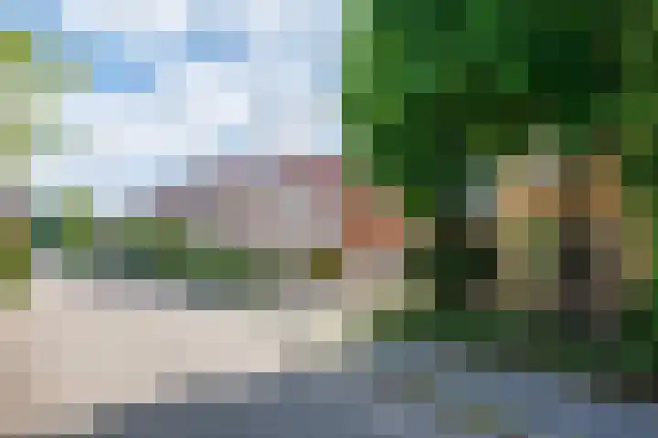 de Gamert 2302 Wijchen thumbnail 55
