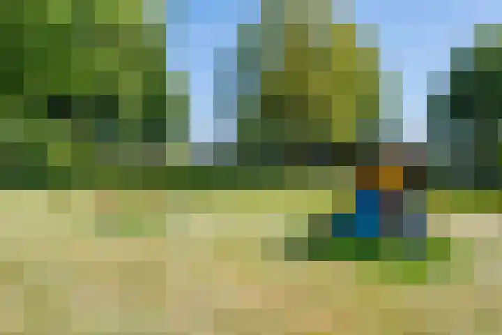 de Gamert 2302 Wijchen thumbnail 56