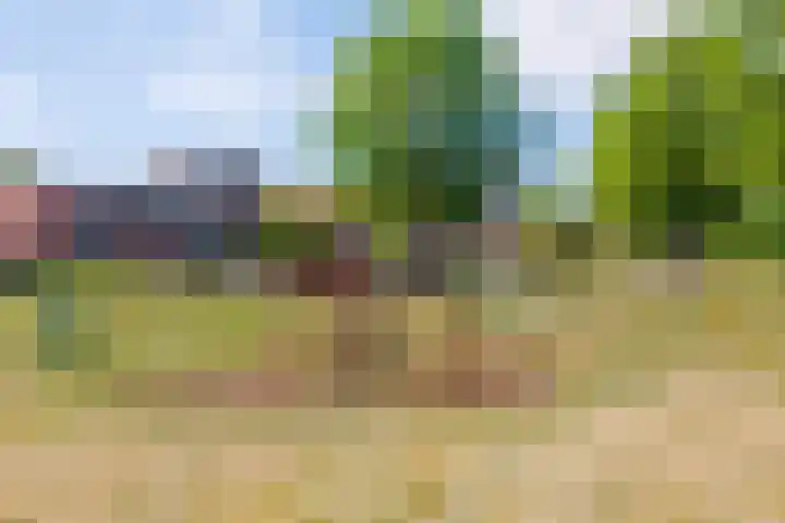 de Gamert 2302 Wijchen thumbnail 58