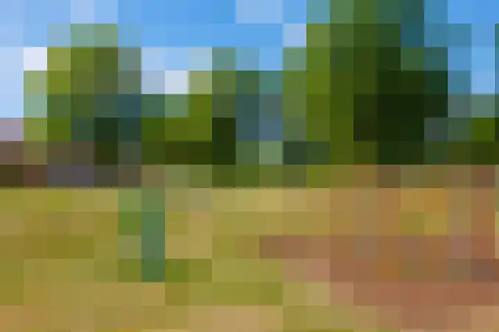 de Gamert 2302 Wijchen thumbnail 59