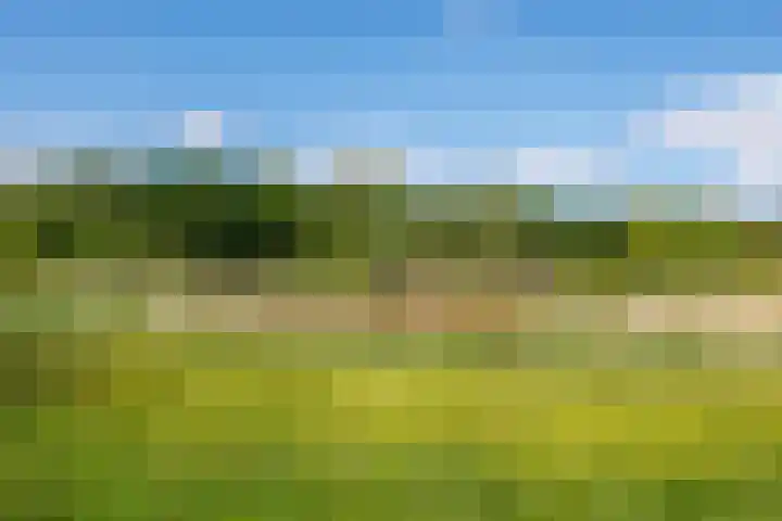 de Gamert 2302 Wijchen thumbnail 60
