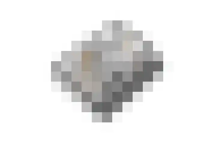 de Gamert 2302 Wijchen thumbnail 66