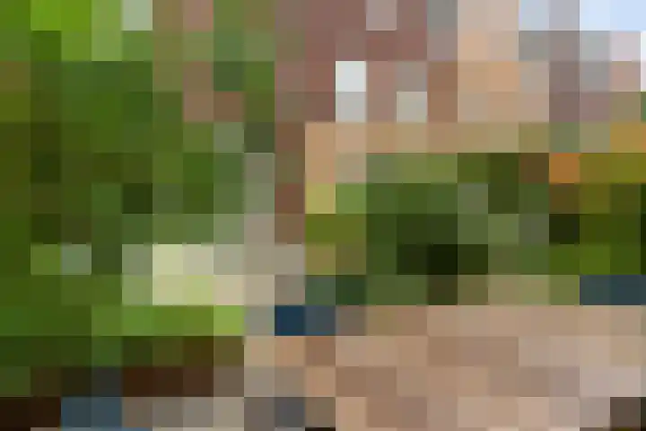 de Gamert 2302 Wijchen thumbnail 8