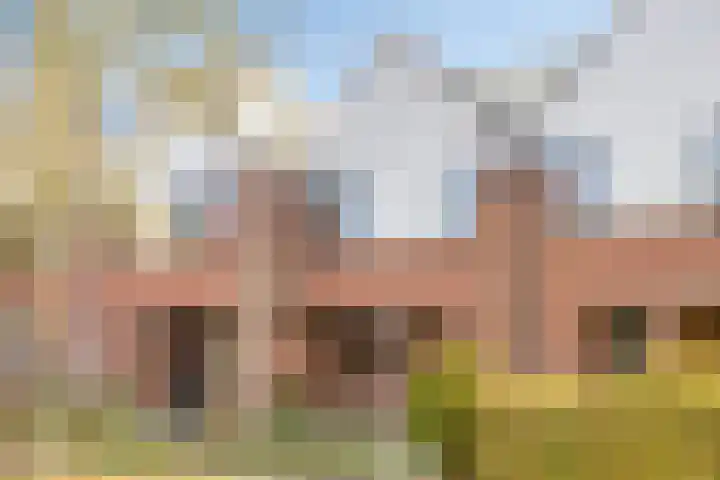 de Ganzeboom 159 Schalkhaar thumbnail 10