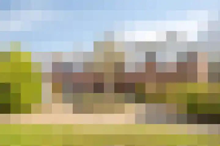 de Ganzeboom 159 Schalkhaar thumbnail 11