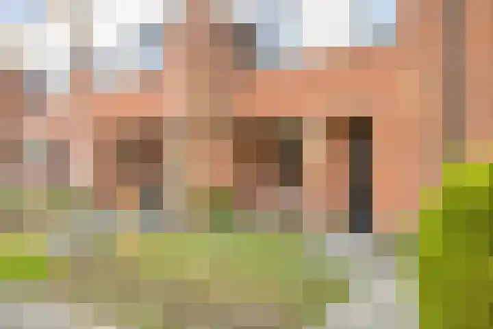 de Ganzeboom 159 Schalkhaar thumbnail 12