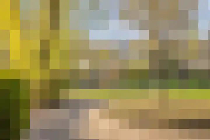 de Ganzeboom 159 Schalkhaar thumbnail 13