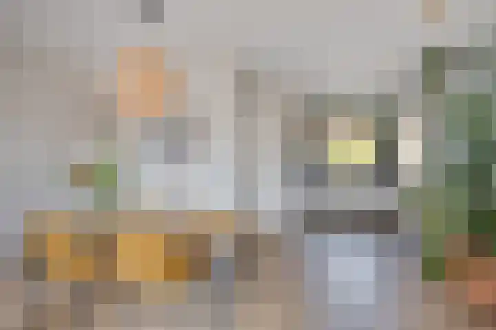 de Ganzeboom 159 Schalkhaar thumbnail 25