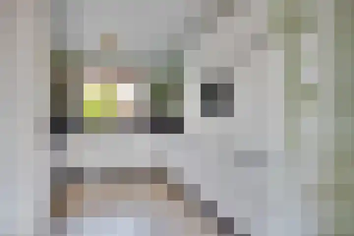 de Ganzeboom 159 Schalkhaar thumbnail 26