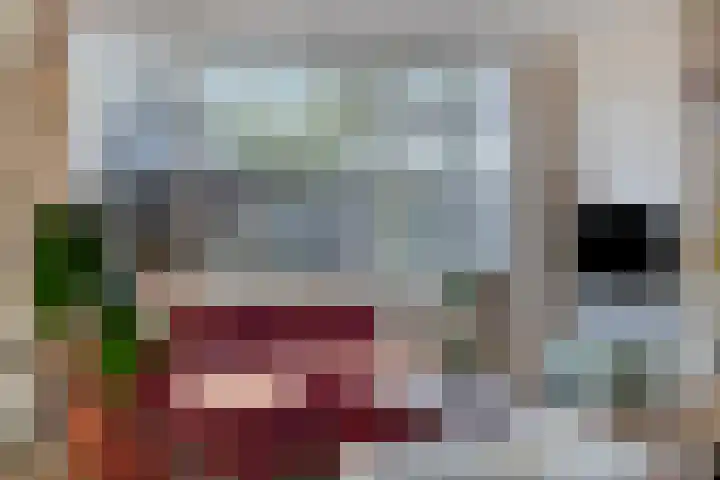 de Ganzeboom 159 Schalkhaar thumbnail 30