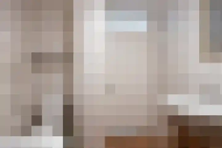 de Ganzeboom 159 Schalkhaar thumbnail 38