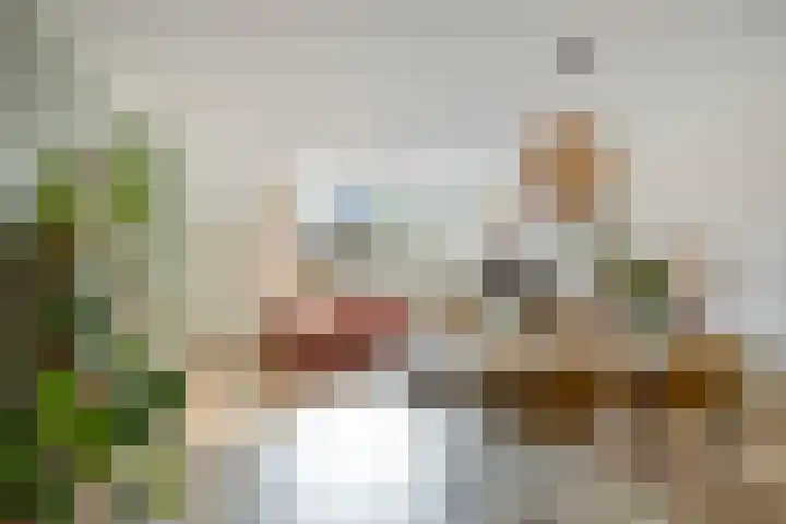 de Ganzeboom 159 Schalkhaar thumbnail 4