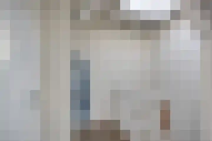 de Ganzeboom 159 Schalkhaar thumbnail 43