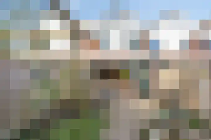 de Ganzeboom 159 Schalkhaar thumbnail 54