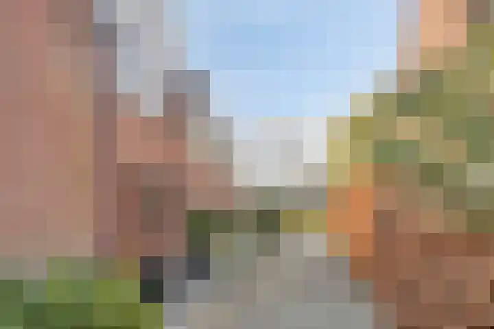 de Ganzeboom 159 Schalkhaar thumbnail 8