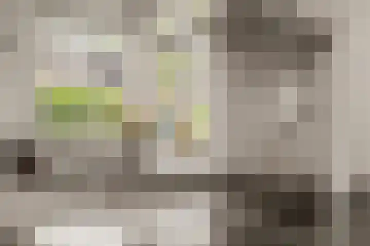 de Garde 10 Zelhem thumbnail 15