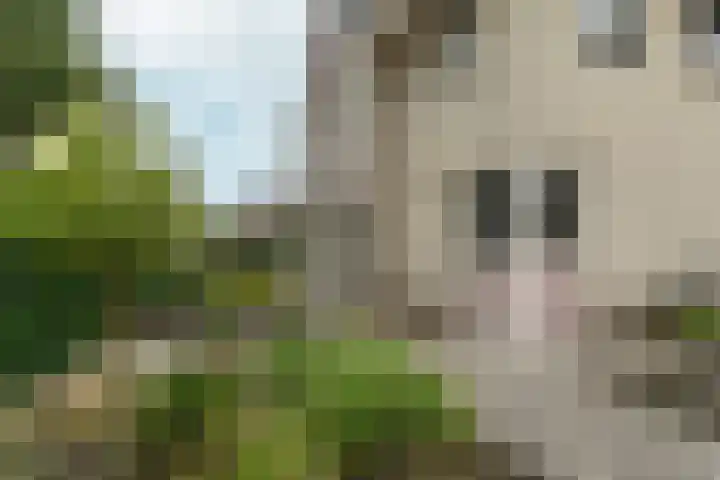 de Garde 10 Zelhem thumbnail 28
