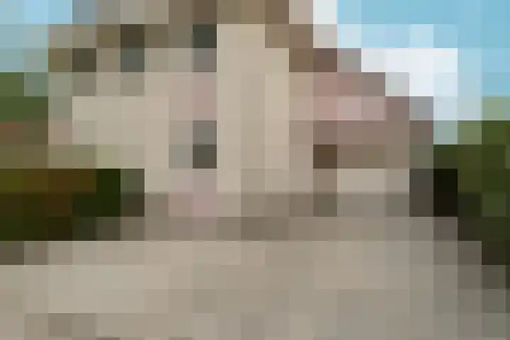 de Garde 10 Zelhem thumbnail 29