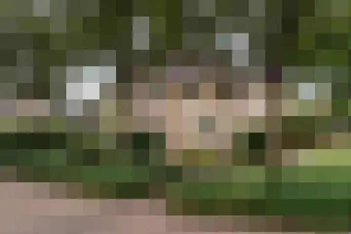 de Garde 10 Zelhem thumbnail 53