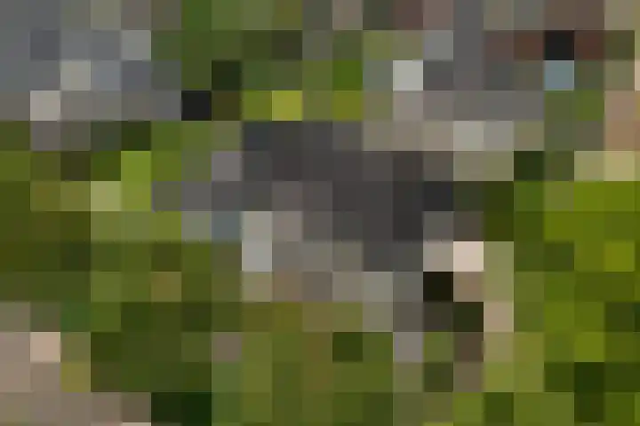 de Garde 10 Zelhem thumbnail 57