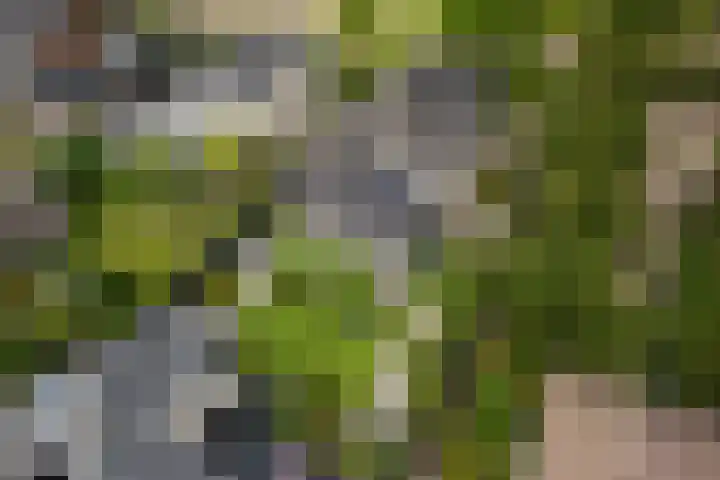 de Garde 10 Zelhem thumbnail 59