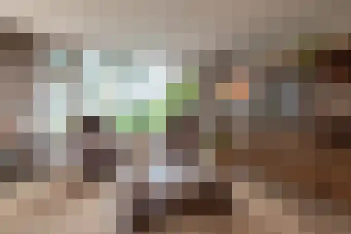 de Gast 8 a Zuidhorn thumbnail 11
