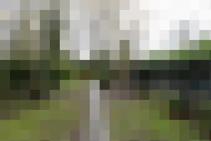 de Gast 8 a Zuidhorn thumbnail 20