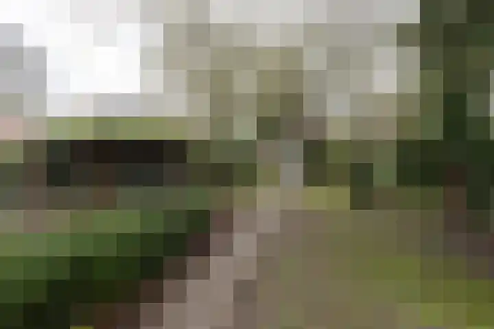 de Gast 8 a Zuidhorn thumbnail 23