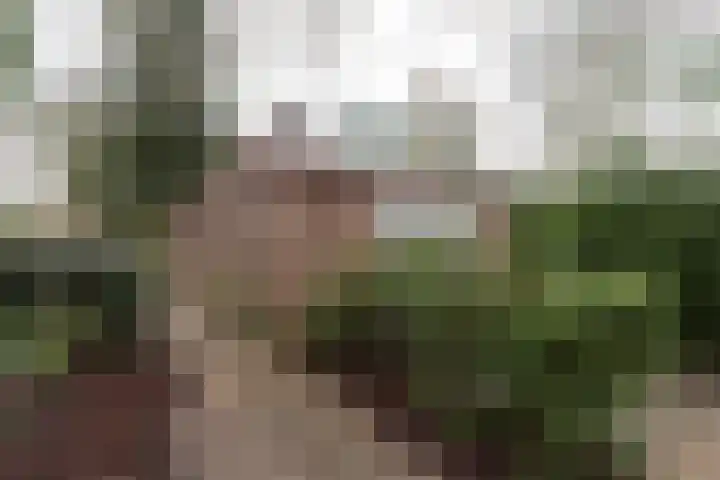 de Gast 8 a Zuidhorn thumbnail 25