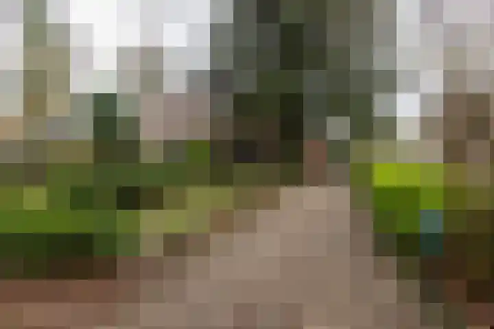 de Gast 8 a Zuidhorn thumbnail 46