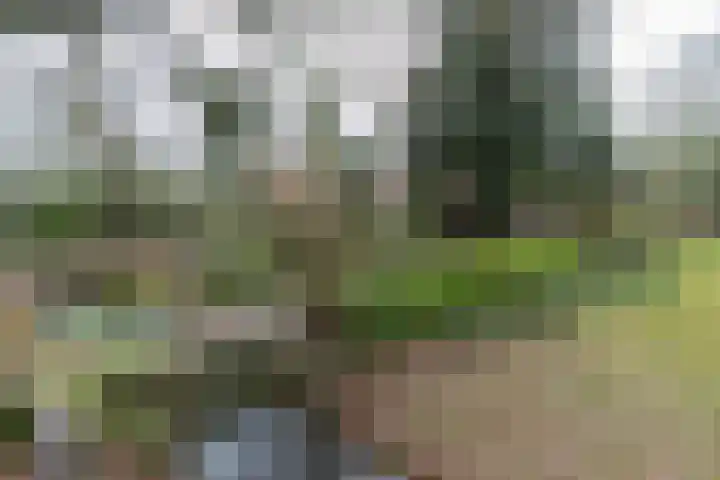 de Gast 8 a Zuidhorn thumbnail 48
