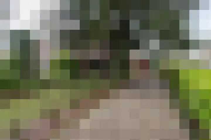 de Gast 8 a Zuidhorn thumbnail 5