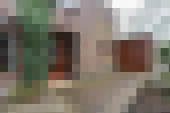 de Gast 8 a Zuidhorn thumbnail 6