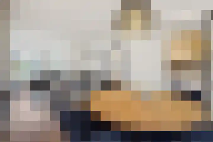 De Gavel 1 Berlicum thumbnail 14
