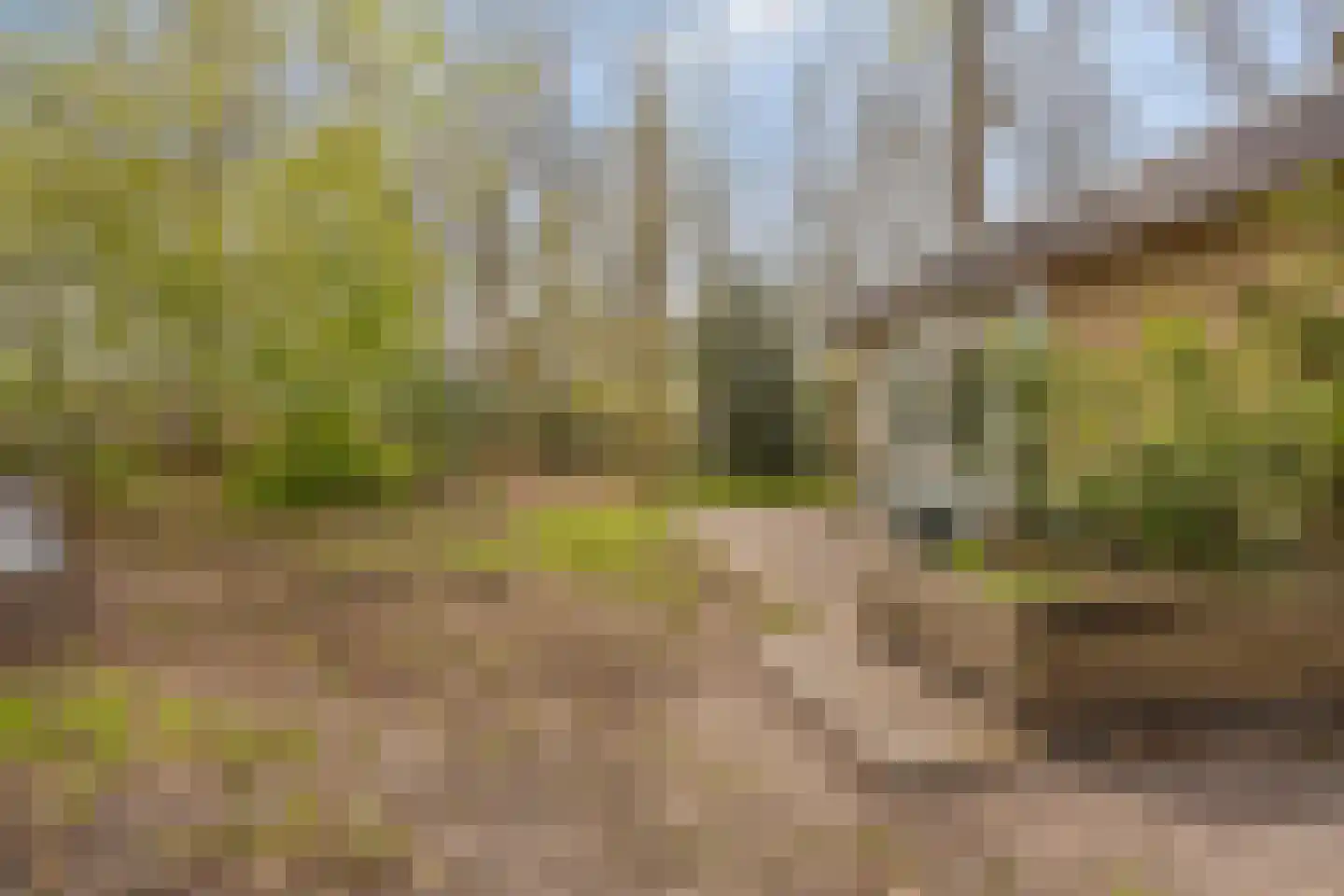 De Gavere 12 Zorgvlied thumbnail 20