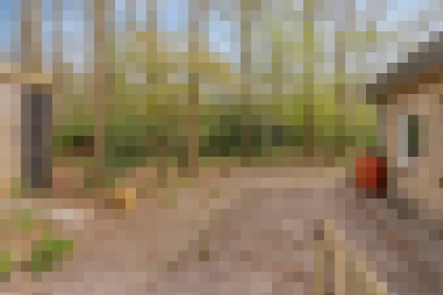 De Gavere 12 Zorgvlied thumbnail 21