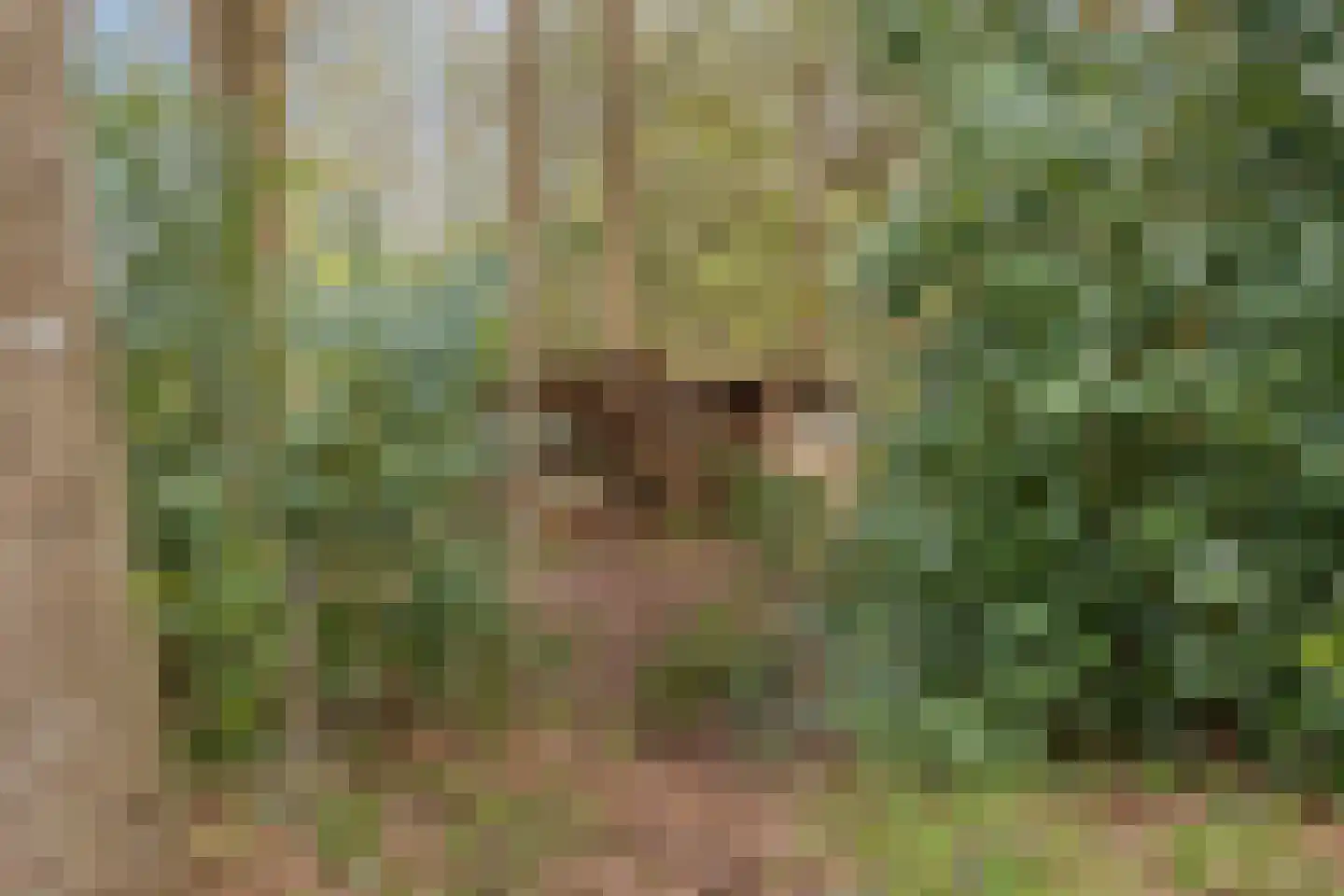 De Gavere 12 Zorgvlied thumbnail 25