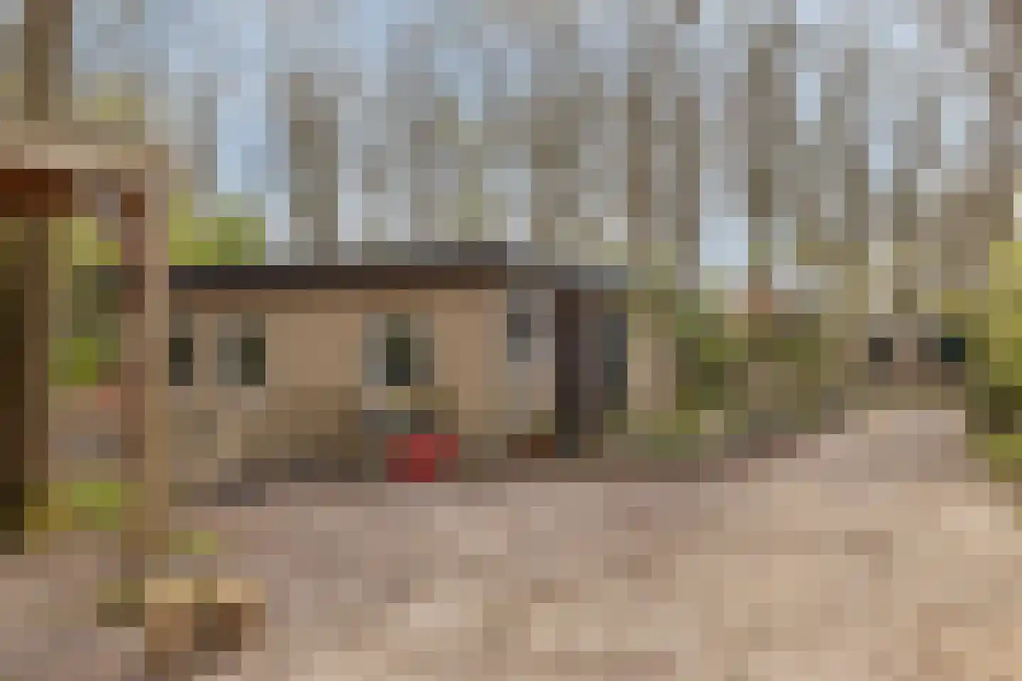 De Gavere 12 Zorgvlied thumbnail 27