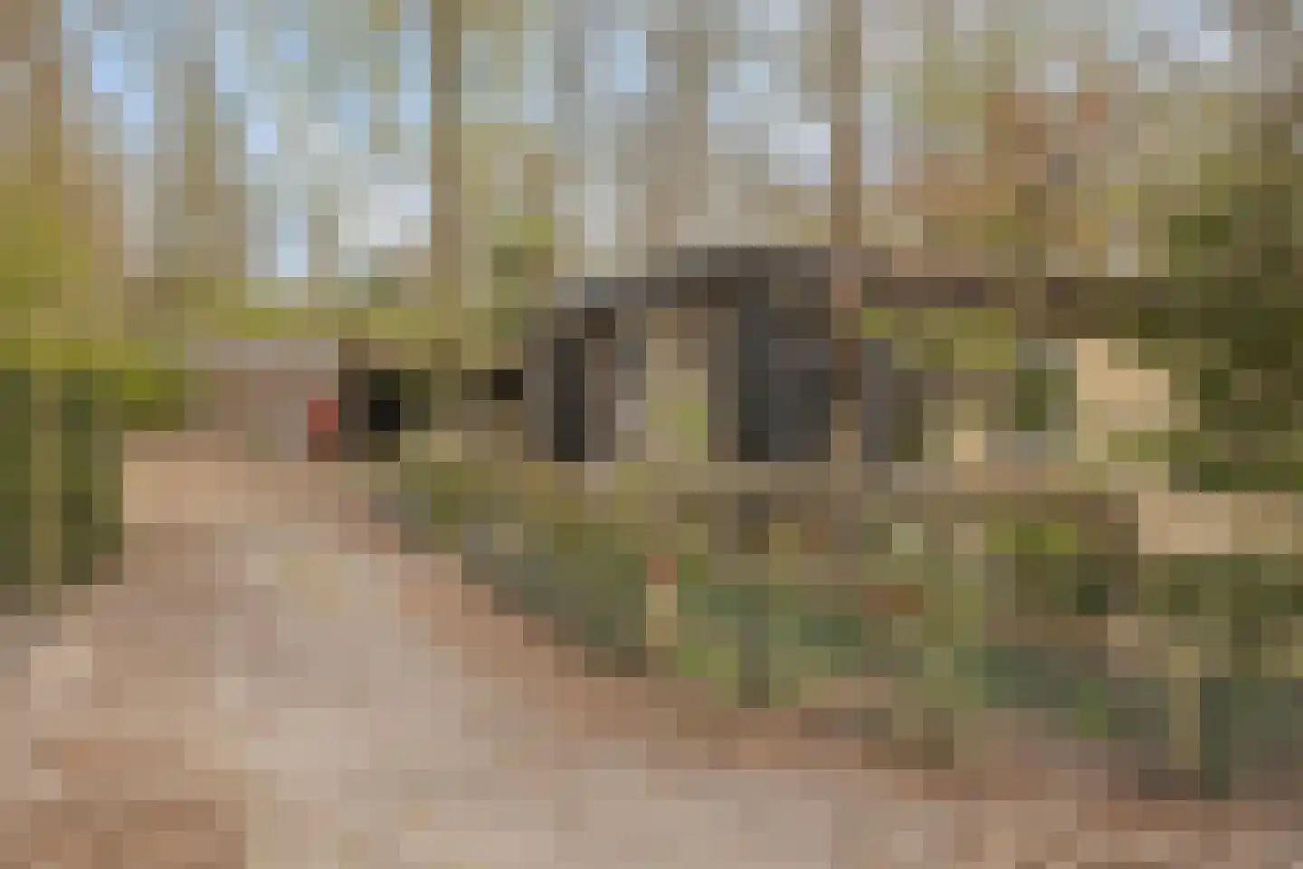 De Gavere 12 Zorgvlied thumbnail 29