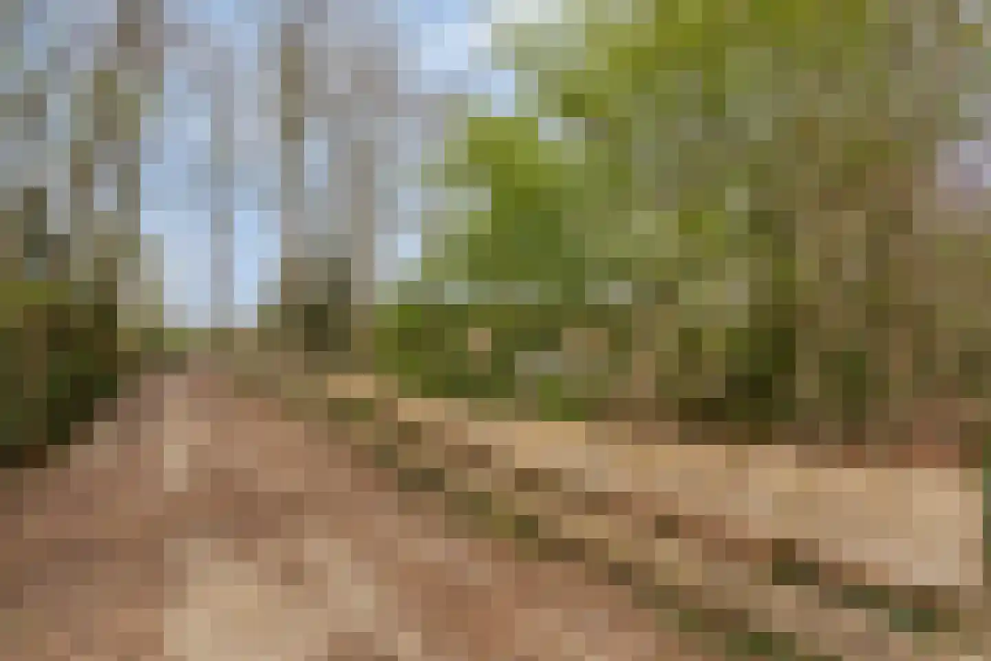 De Gavere 12 Zorgvlied thumbnail 31